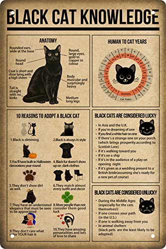 Funny Black Cat Knowledge Quote Poster Vintage Metal Signs for Bedroom Family Signs For Home Decor Wall Man Cave Sign Garage Signs Cat Lovers Gift 8 X 12 in