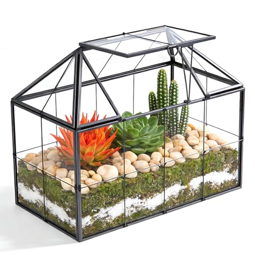 Mini gewächshaus Balkon,23 x 13,5 x 18.5cm gewächshaus Glas...