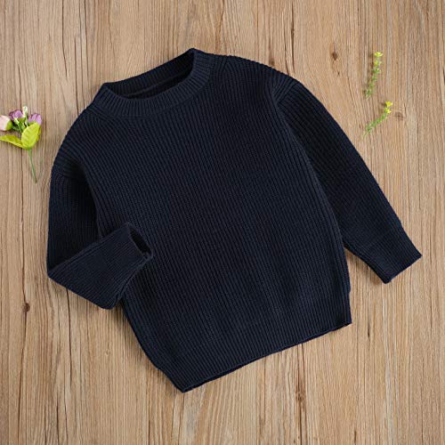 Image of Kids Toddler Baby Girl Boy Crewneck Long Sleeve Knit Sweater Casual Pullover Tops Basic Fall Winter Clothes