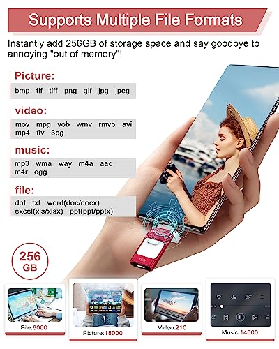 ZARMST USB Stick 256GB, 4 in 1 Flash Drive 3.0 High Speed Photostick - Image 4