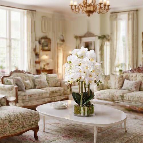 Home Page - Paul - Cosy Home Interiors