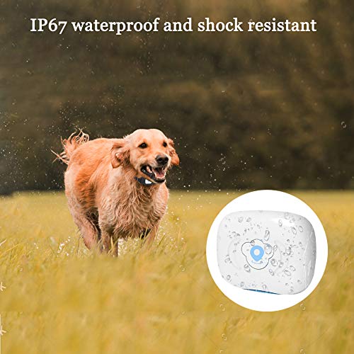BARTUN GPS Pet Tracker, Cat Dog Tracking Device with Unlimited Range (Black)