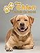 Mon Chien Carnet de santé: Labrador Retriever | 109 pages 22cm x 28cm | Cahier a Remplir | Vaccinations | Suivi Médical | Visites Vétérinaires | ... | Contacts | Pour les amoureux des chiens