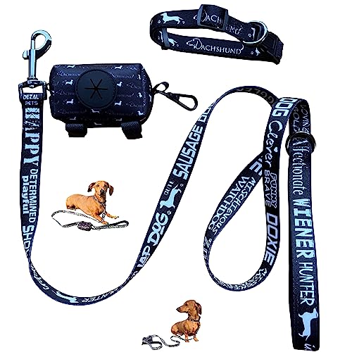 Top 10 Best Leash For Miniature Dachshund Reviews & Buying Guide