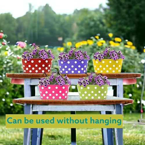 Image of 12 INCH Anti Rust Railing Oval Planter for Balcony & Garden with Detachable Handle | Hanging Flowerpot Holder | Metal Wall Planter for Indoor and Outdoor Decor (Multicolour Polka Dot, 5)
