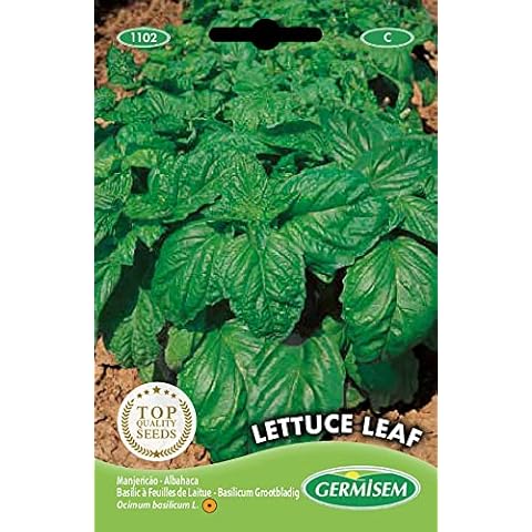 Germisem Lettuce Leaf Basil Seeds 3 g EC1102 Multicolour Cover