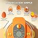 Imagen de Incubadora Huevos Gallina Automática