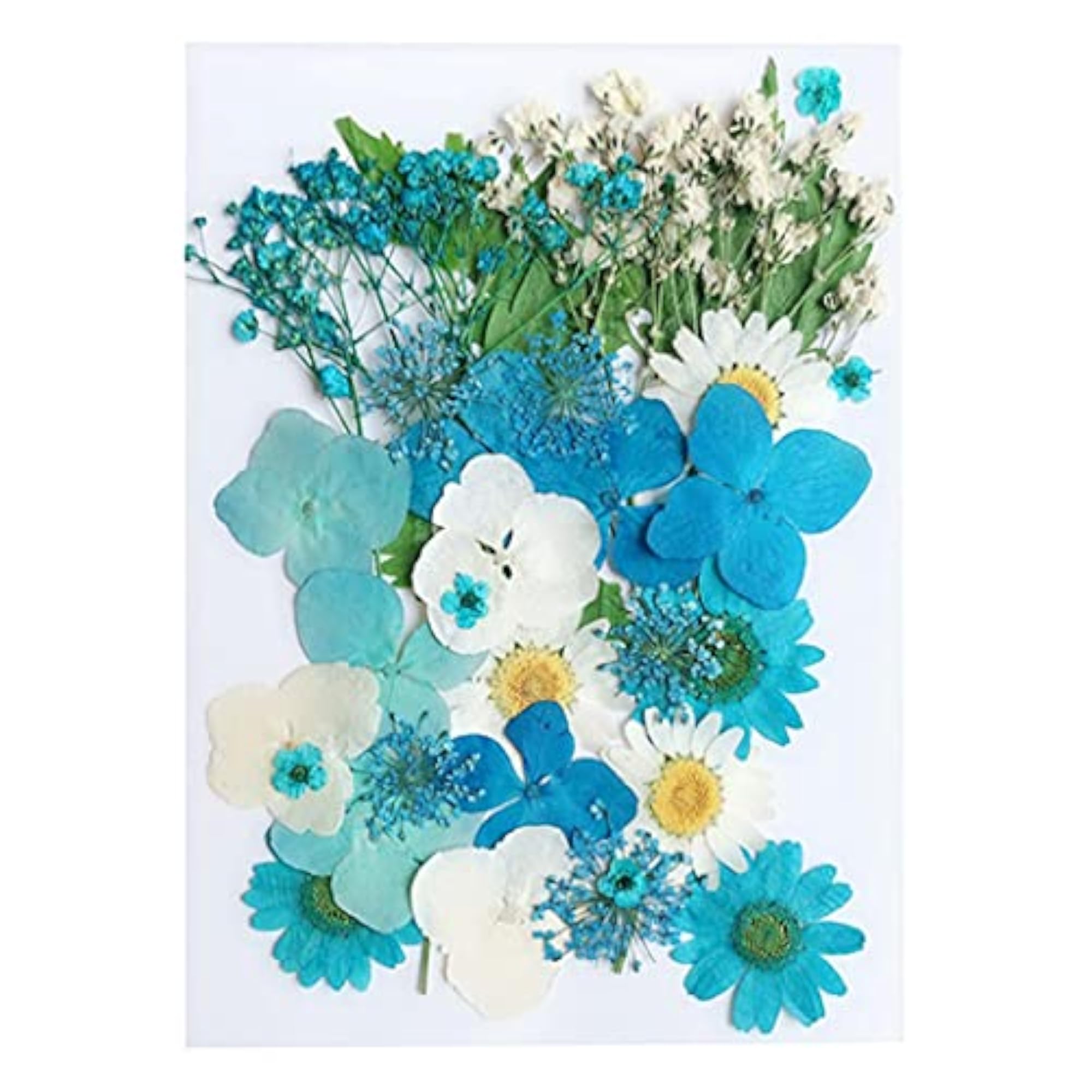 Real Dried Flower Set DIY Decorative Nature Dry Flower