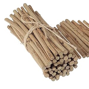 LAZACA Holzstäbchen zum Basteln Zweige Handwerk Log Sticks 50PCS Natürliche Baumrinde Rustikale Wohnkultur DIY (Länge…