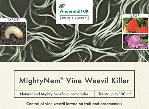 MightyNem Vine Weevil Killer - Beneficial Nematodes Treats 100 sq m