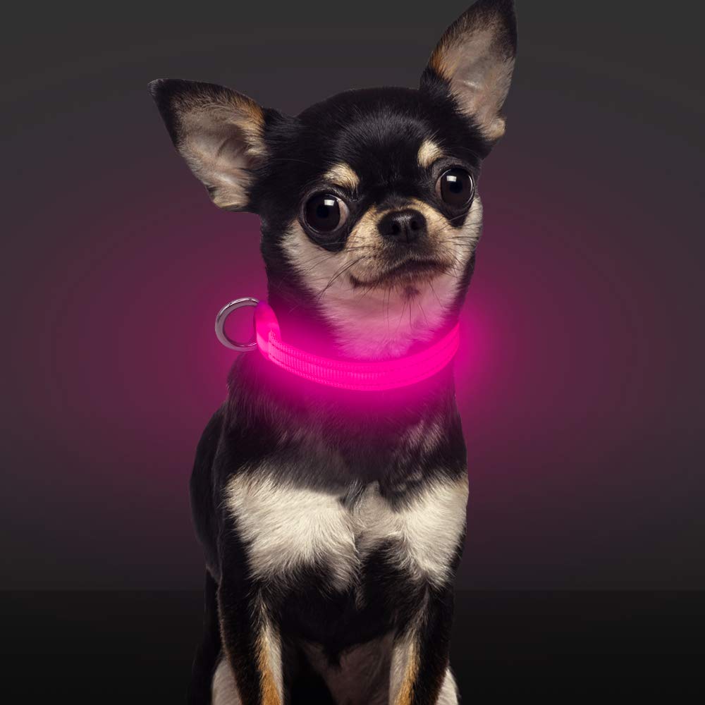 BSEEN Collier lumineux pour chien – Collier lumineux à DEL rechargeable qui brille dans le noir – Collier réfléchissant de sécurité pour chiens et chiots pour promener la nuit (rose, taille XS)