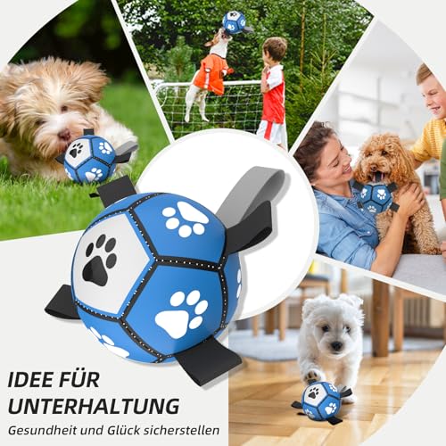 HETOO Hundeball Hundespielzeug Ball mit Griff für Hund Interaktives Schleppen von Krieg Wasser Hundebälle Spielzeug Geburtstagsgeschenk für Klein/Mittel Hunde (5 Zoll Blau Grau)