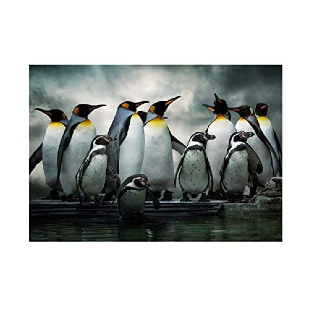 Wee Blue Coo Photo Nature Emperor Penguin Birds Wall Art Print
