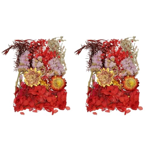Set de flores secas naturales 2 unidades rojo