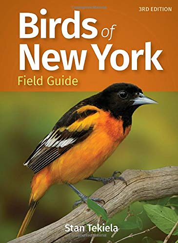 Birds Of New York Field Guide (Bird Identification Guides) #TOP22