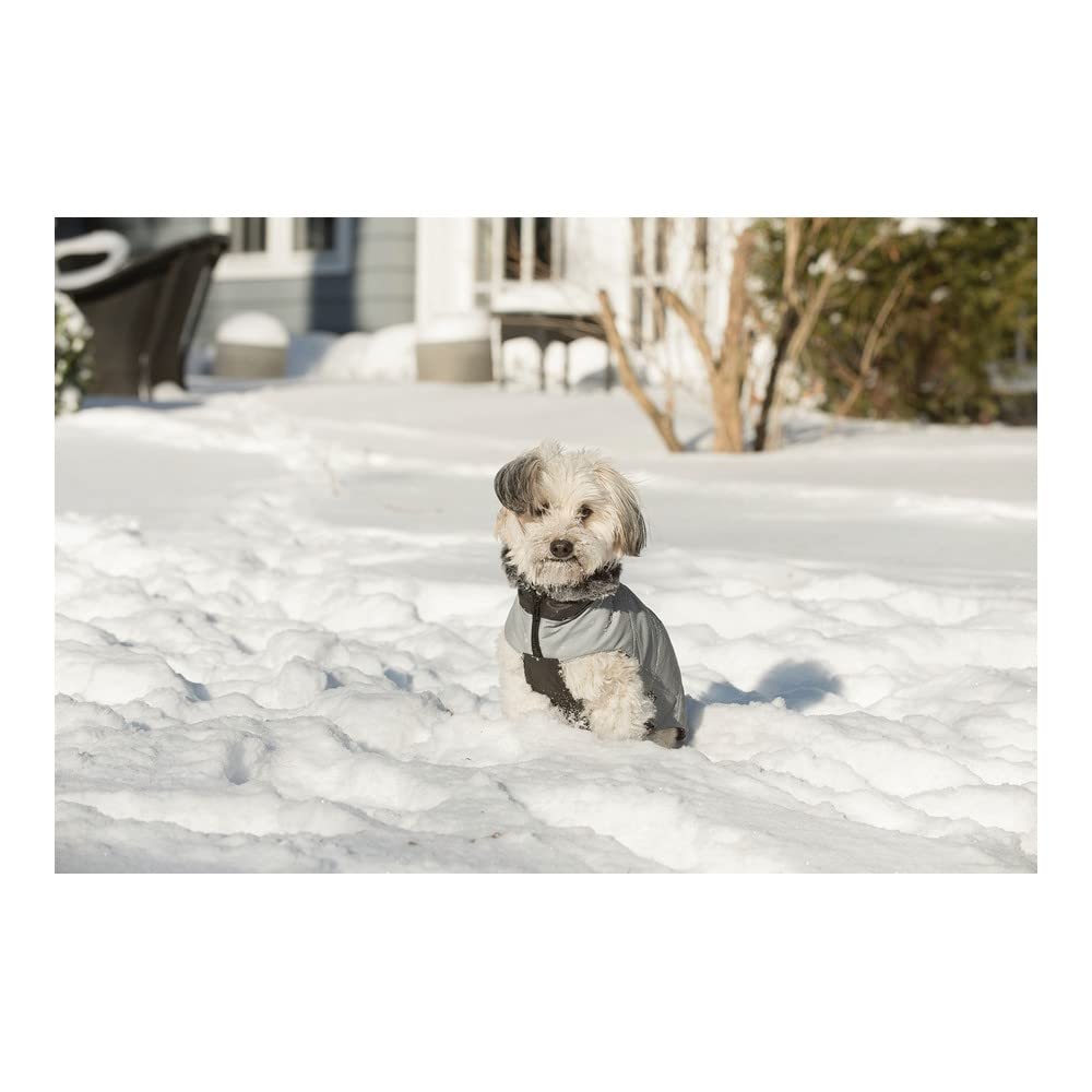 Dog Coats & Jackets Meteor Coat Tamarack, multicoloured, Medium - Image 3
