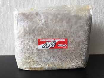 51Z95d80zLL._AC_UF350,