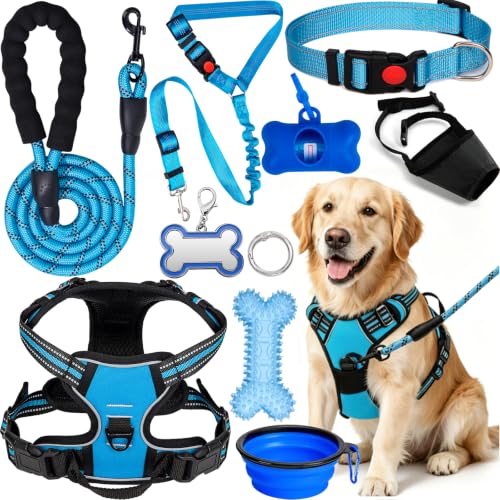 YXFDOYT No-Pull Dog Harness & Leash Set (Blue, Large)
