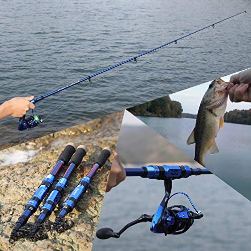 Canne à pêche télescopique portable 1,8 à 3 m carbone gris