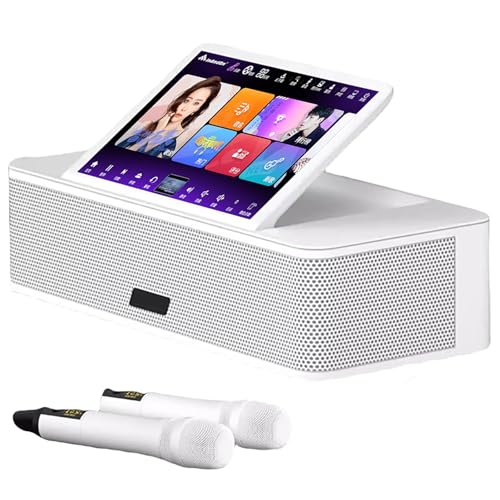 Sistema de sonido de karaoke con pantalla táctil con 2 micrófonos inalámbricos, descargas en la nube de alta velocidad, KTV, MP3, Bluetooth, salida HDMI, almacenamiento de 1 TB