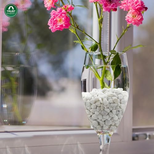 Image of TrustBasket White Pebble Decorative Stones Marble Chips [2 Kg] for Aquarium Garden Indoor & Outdoor Decoration Pebble Stone White