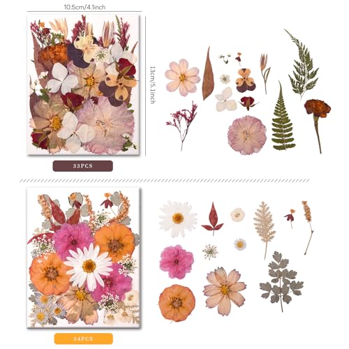 Image of 100 PCS Cream Color Pressed Dried Flowers & Leaves | Real Natural Dried Flowers, With Tweezers, For Resin, Candle, Jewelry, Scrapbooking & DIY Crafts
