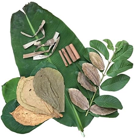 TROPICAL LEAF LITTER COMBO - 8 XL Catappa Indian Almond - 4 Bark – 5 Banana – 5 Pink Guava Leaves - Wild Organic Natural Happy Healthy Aquatic Tank  –  Betta & Gouramis Fish Dwraf Shrimp Pets
