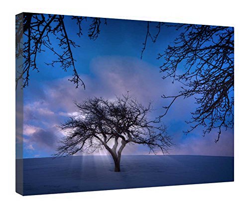 Lienzo decorativo de madera de 16x20 pulgadas con relieve para cuadro de pared moderno