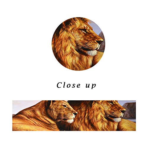 5 Pieces Wild Lion And Lioness Wall Art Pictures For Living Room Lions Painting Prints On Canvas Modern Animal Posters Wooden Artwork Office Home Decoration Stretched Framed Ready To Hang (60"Wx40"H) #TOP5