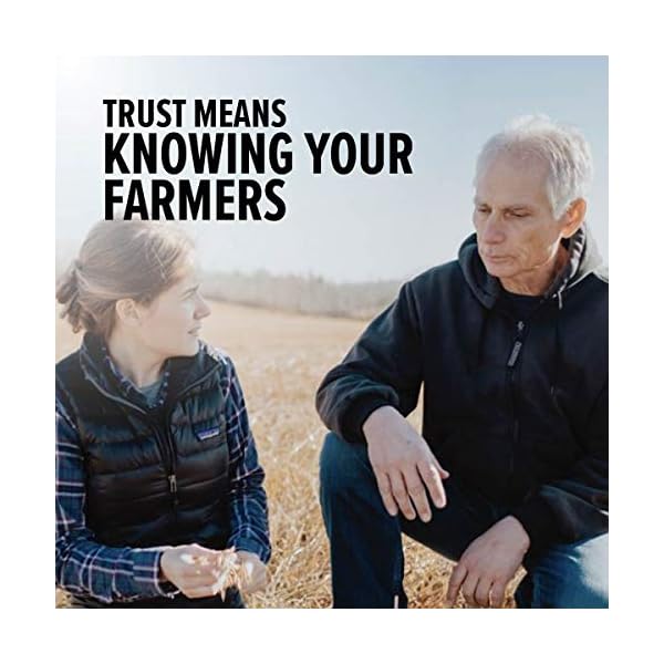 One Degree Organic Foods Sprouted Rolled Oats, USDA Organic, Non-GMO Gluten Free Oatmeal, 24 oz., 4 Pack