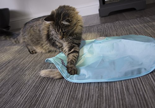 SmartyKat Hot Pursuit Cat Toy - Image 8