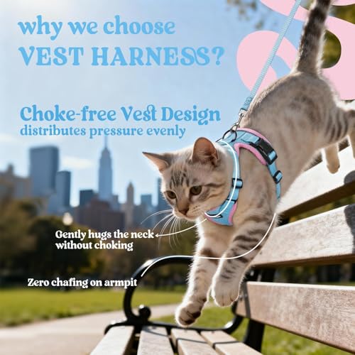 Image of rabbitgoo Cat Harness and Leash Set, Escape Proof Vest, Light Blue & Pink | Soft Breathable Mesh, Easy Adjustable Fit, Snap Buckles, Sturdy Clip, Reflective Strips, for Average Cats Walks, S