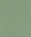 Rasch Tapeten 633191   Unitapete aus Vlies in Grün aus der Kollektion Color your life   10,05 m x 0,53 m (LxB)