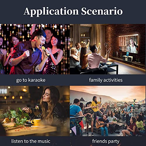 Máquina de karaokê para Adultos, Crianças, Sistema de Alto-falantes Bluetooth Recarregável, 2 Microf