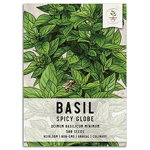 Basil Container Size Matters Growing Basil In Containers