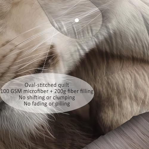 Image of Lion Comforter Set Full Size King and Queen Bedding Sets for Girls Boys Kids Adults Bedroom Decor Romantic Lover Couple Animal Quilt 1 Comforter 2 Pillowcases