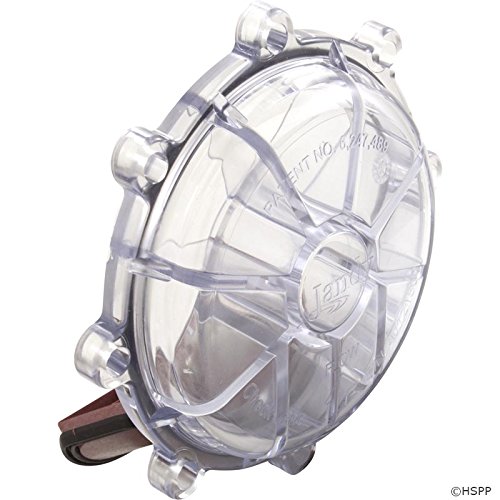 Amazon.com: Zodiac Jandy Pro Series Flapper Assembly, 2.5
