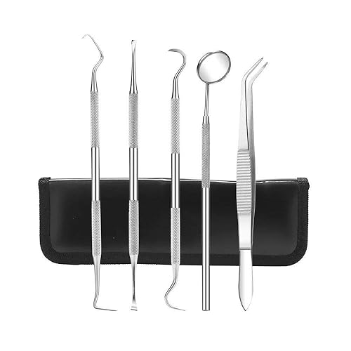 Kit de higiene dental, 5 piezas, kit de herramientas dentales, incluye raspador de tarter, púa dental, espejo bucal antivaho y raspador dental,
