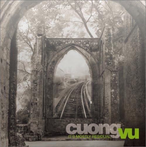Cuong Vu It's Mostly Residual