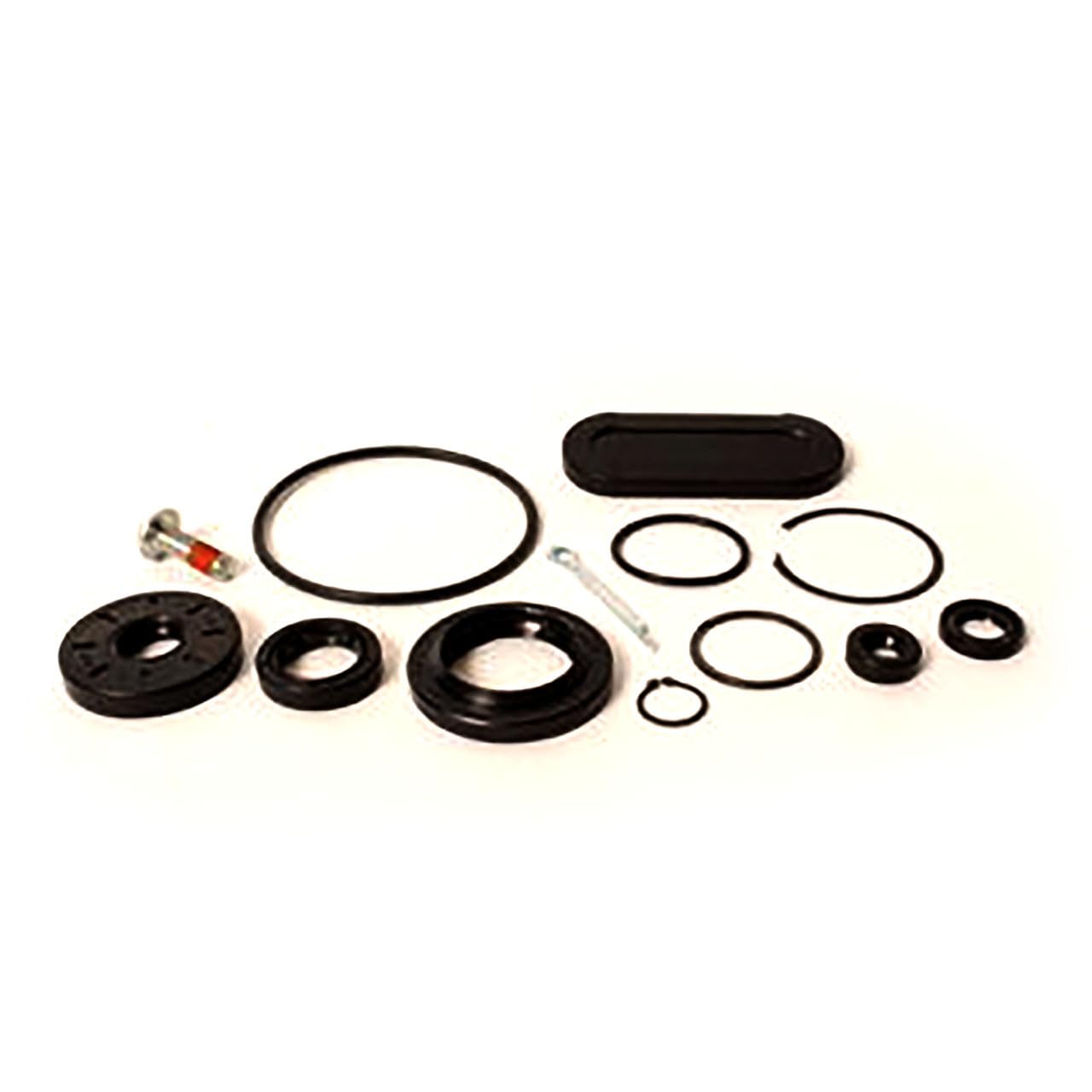 Amazon.com: Hydro-Gear 72528 Seal Kit Genuine Original Equipment