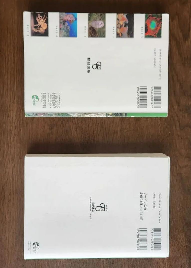 昭和レトロ 希少 レア オオイケ イリオモテヤマネコ ねこ Oike 昭和