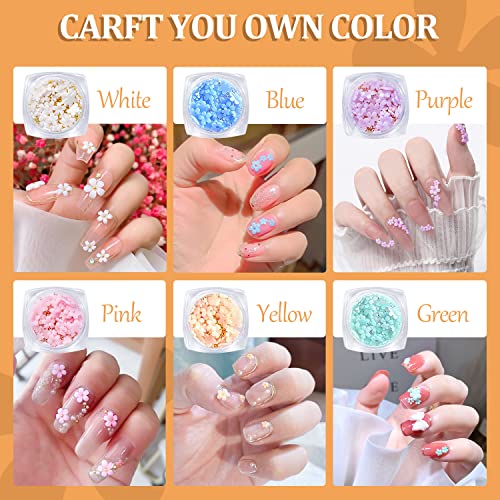 Lzaoa Color Changing Nail Art 3D Acrylic Flowers Nail Charms Nail Design Supplies Decoration Accessories (6 Bottles Of Color Changing Flowers) #TOP3