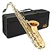 Jean Paul USA Intermediate Tenor Saxophone TS-400
