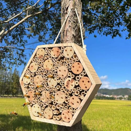 Hotel de insectos y abejas mason que atrae polinizadores al huerto 7