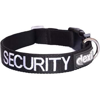 Dog security collar Clearance