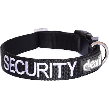 Security dog collar Clearance
