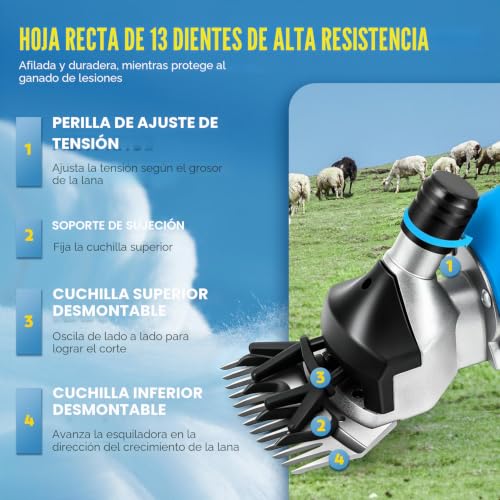 Miniatura 4 de Cgoldenwall Esquiladora Para Oveja Inalámbrico 550w 2400rpm, Con 2 Baterías De Litio Recargables 2000mah, 6 Velocidades Ajustables, Cizalla Para Cabra Alpaca Camello - Aceite Lubricante Incluido