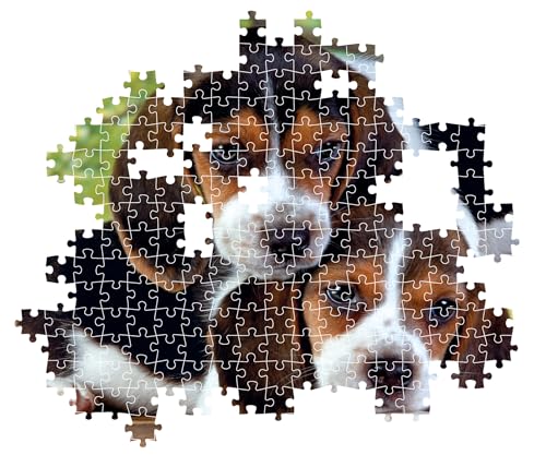 Puzzle 500 pièces + poster : Rapprochés Clementoni Puzzles - vue 6