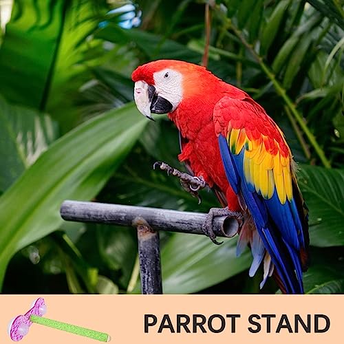 Stand di gioco per pappagalli in legno,Posatoi per...