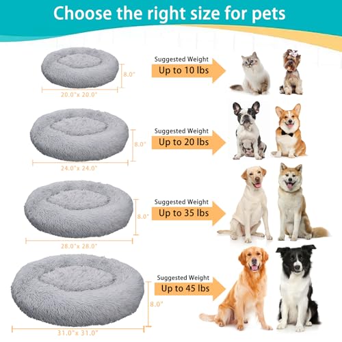 Calming Small Dog Bed, Donut Fluffy Anti-Anxiety Round Washable Cute Bed, Plush Cozy Cuddler Warming Soft Comfort Pet Bed for Small Medium Dogs Cats, 20inch,Light Grey - Image 6